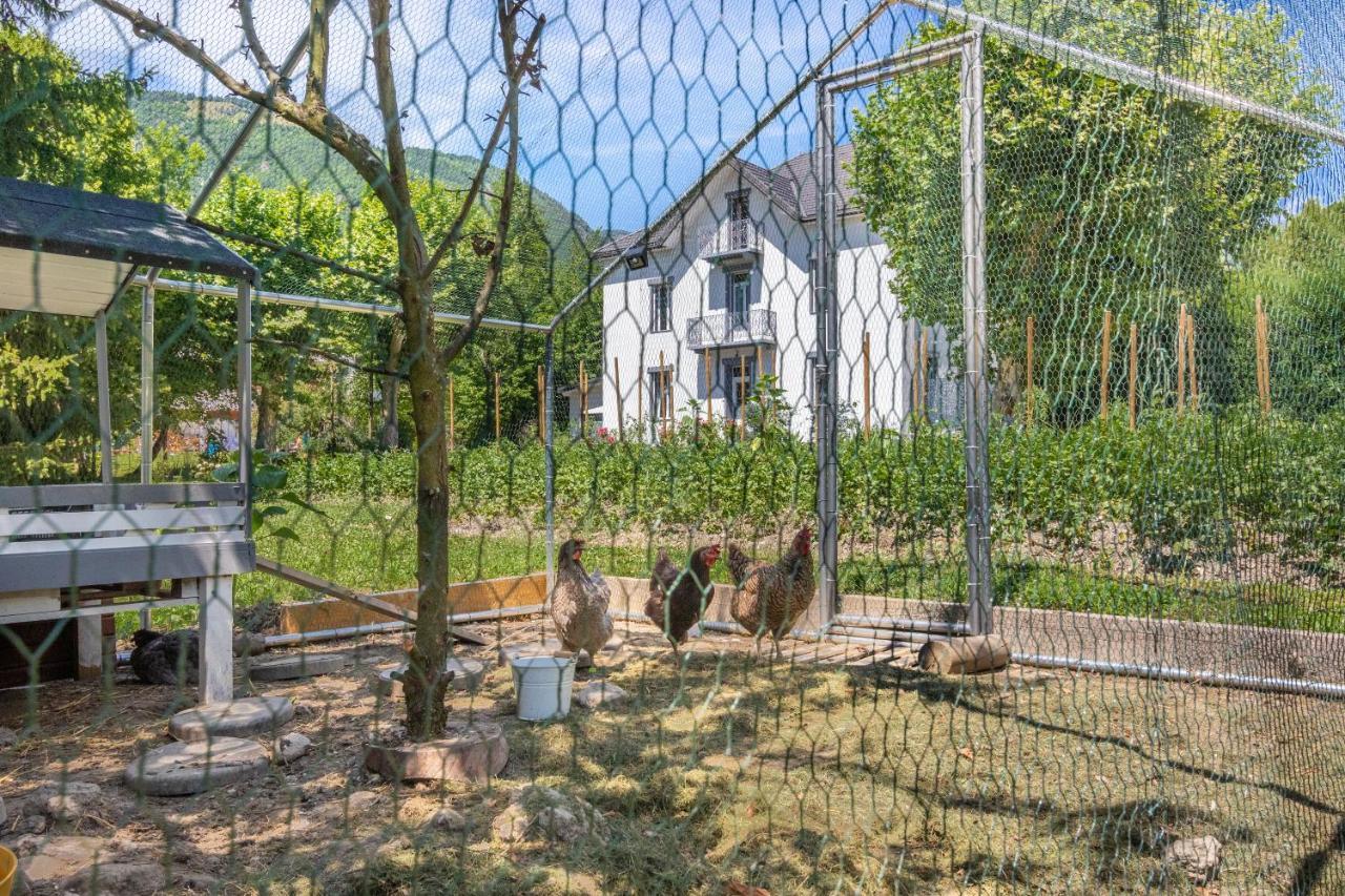 Le Clos Grillet La Chambre Екстер'єр фото